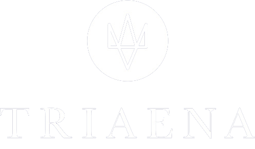 Triaena Business Center - Business Center and Conference Organization