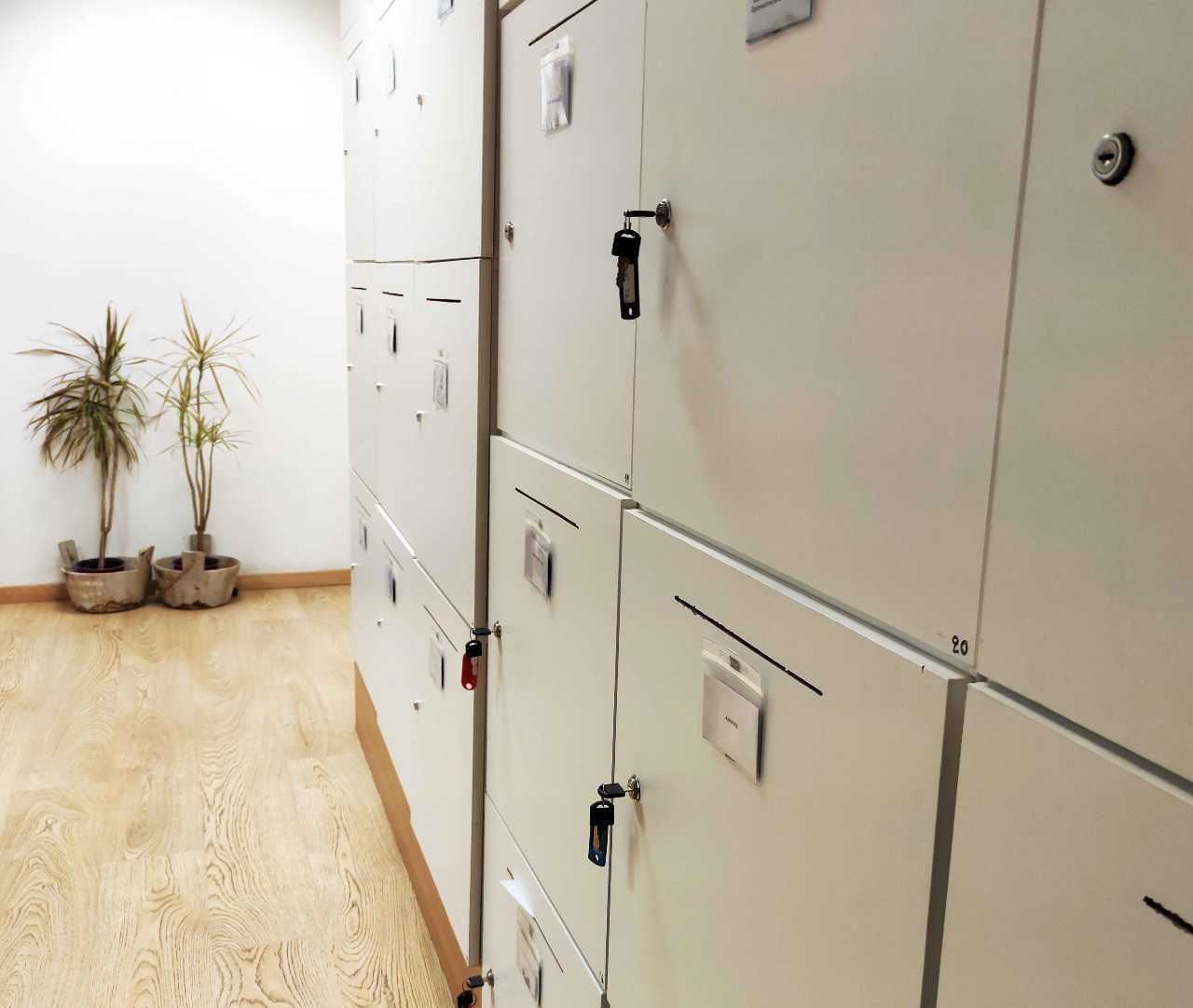 Big white boxes for virtual office rentals, with company name tags and keys, spacious area with minimal off tone whites, pots with exotic plants 